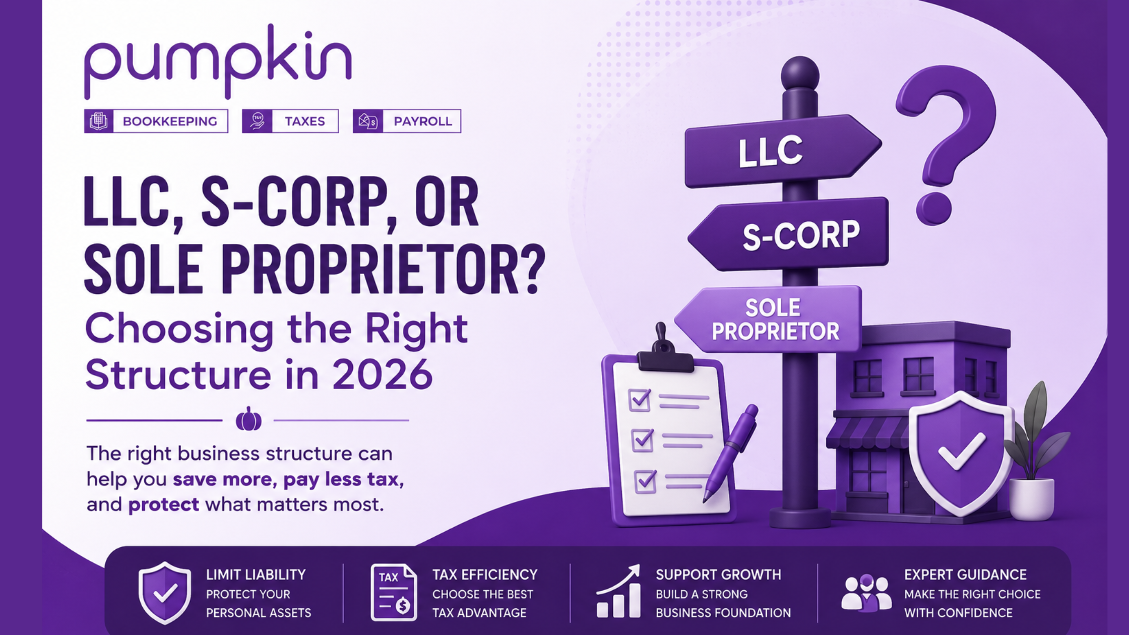 LLC, S-Corp, or Sole Proprietor?