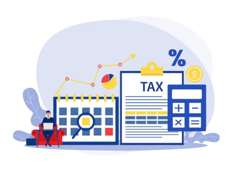 Pumpkin tax financial anaysis